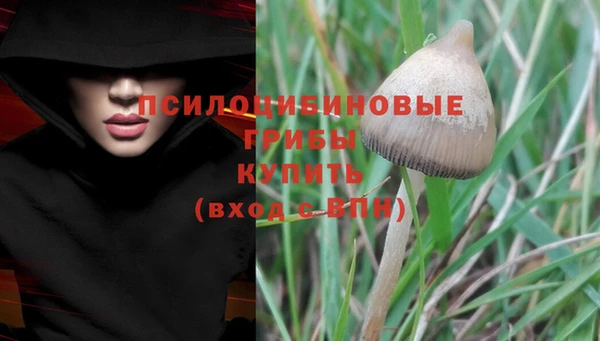 каннабис Алзамай